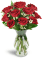 Devoted to You™ Red Roses